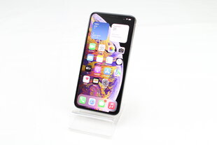 iPhone XS Max 256GB Silver (kasutatud, seisukord A) цена и информация | Мобильные телефоны | kaup24.ee
