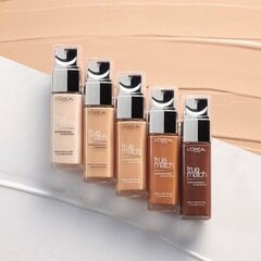 База под макияж L’Oreal Paris True Match Super Blendable 30 ml D1-W1 Golden Ivory цена и информация | Пудры, базы под макияж | kaup24.ee