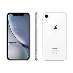 iPhone XR 64GB White (kasutatud, seisukord A) цена и информация | Мобильные телефоны | kaup24.ee