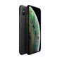 iPhone XS 64GB Space Gray (kasutatud, seisukord A) цена и информация | Telefonid | kaup24.ee