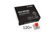 Glorious PC Gaming Race Kailh Box Red Linear & Silent 120 vnt hind ja info | Klaviatuurid | kaup24.ee
