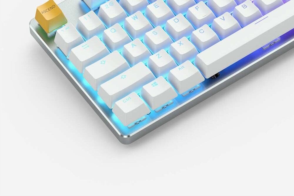 Glorious PC Gaming Race GMMK TKL White Ice Edition Gateron Brown цена и информация | Klaviatuurid | kaup24.ee