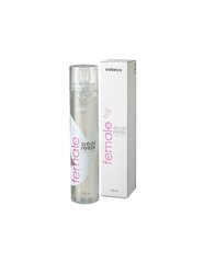 Лубрикант Female Cobeco Anal Relax 120 Ml цена и информация | Лубриканты | kaup24.ee