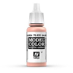 Salmon Rose Matt 17 ml. Model Color 70835 Vallejo hind ja info | Kunstitarbed, voolimise tarvikud | kaup24.ee