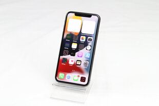 iPhone X 64GB Space Gray (подержанный, состояние A) цена и информация | Мобильные телефоны | kaup24.ee