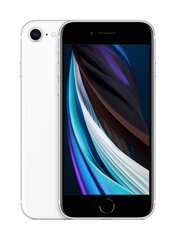 iPhone SE 2.gen 64GB White (kasutatud, seisukord A) цена и информация | Мобильные телефоны | kaup24.ee