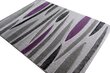 Vaip Fantazija 01 Grey/violet, 80x150 cm hind ja info | Vaibad | kaup24.ee