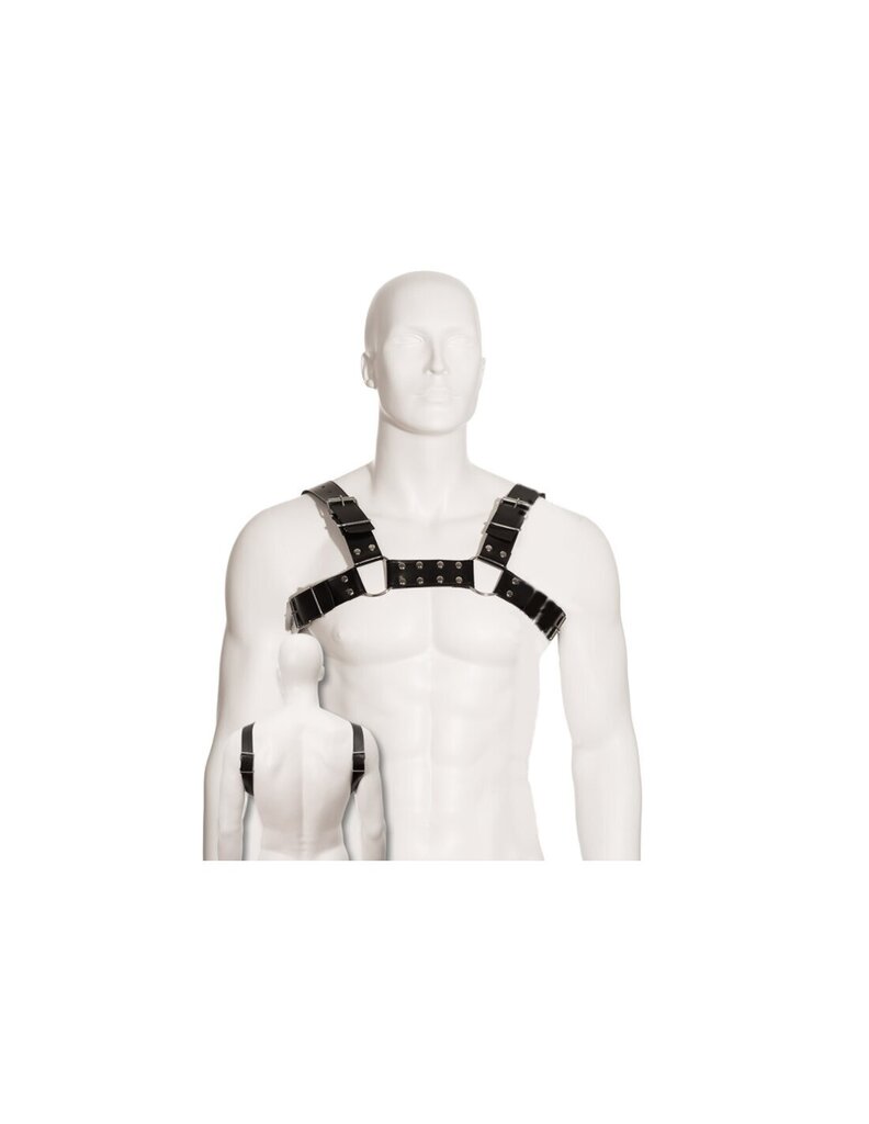 Эротический костюм Body Leather Black Bull Dog Harness цена | kaup24.ee