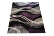 Vaip Fantazija 02 Grey/violet, 80x150 cm hind ja info | Vaibad | kaup24.ee