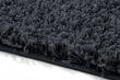 Vaip Shaggy Anthracite, 200x290 cm hind ja info | Vaibad | kaup24.ee