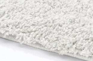 Vaip Shaggy White, 60x100 cm hind ja info | Vaibad | kaup24.ee