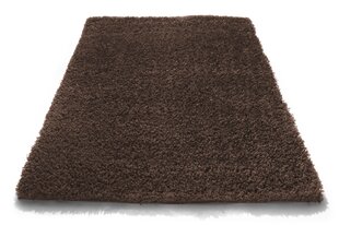 Vaip Shaggy Brown, 60x100 cm цена и информация | Ковры | kaup24.ee