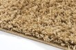 Vaip Shaggy Caramel, 60x100 cm цена и информация | Vaibad | kaup24.ee