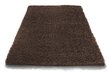 Vaip Shaggy Brown, 80x150 cm цена и информация | Vaibad | kaup24.ee