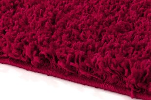 Vaip Shaggy Red, 100x200 cm hind ja info | Vaibad | kaup24.ee