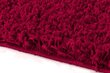 Vaip Shaggy Red, 200x290 cm hind ja info | Vaibad | kaup24.ee