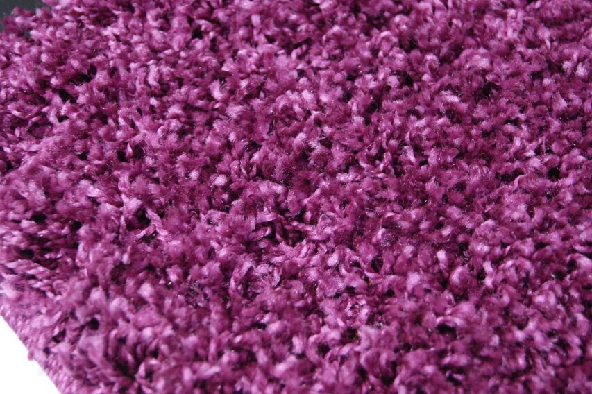 Vaip Shaggy Violet, 60x100 cm hind ja info | Vaibad | kaup24.ee