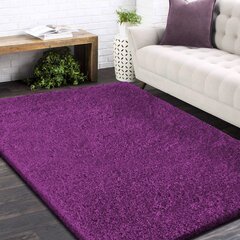 Vaip Shaggy Violet, 60x100 cm цена и информация | Ковры | kaup24.ee