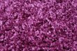 Vaip Shaggy Violet, 80x150 cm цена и информация | Vaibad | kaup24.ee