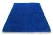 Vaip Shaggy Cobalt Blue, 60x100 cm hind ja info | Vaibad | kaup24.ee