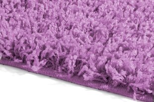 Vaip Shaggy Lavender, 60x100 cm hind ja info | Vaibad | kaup24.ee