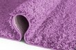 Vaip Shaggy Lavender, 60x100 cm цена и информация | Vaibad | kaup24.ee