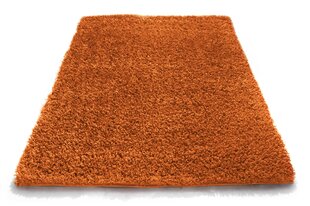 Vaip Shaggy Orange, 60x100 cm hind ja info | Vaibad | kaup24.ee