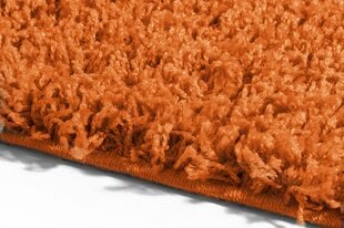 Vaip Shaggy Orange, 60x100 cm цена и информация | Ковры | kaup24.ee