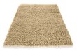 Vaip Shaggy Sand, 60x100 cm hind ja info | Vaibad | kaup24.ee