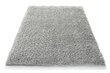 Vaip Shaggy Grey, 60x100 cm цена и информация | Vaibad | kaup24.ee