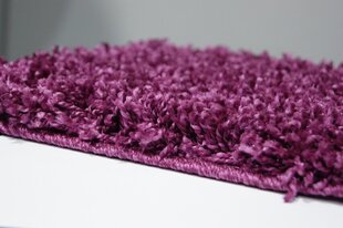 Ковёр Shaggy Violet, 200 x 290 см цена и информация | Коврики | kaup24.ee