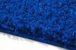 Vaip Shaggy Cobalt Blue, 140x190 cm hind ja info | Vaibad | kaup24.ee