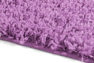 Vaip Shaggy Lavender, 120x170 cm hind ja info | Vaibad | kaup24.ee
