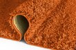 Vaip Shaggy Orange, 200x290 cm hind ja info | Vaibad | kaup24.ee