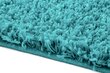 Vaip Shaggy Turquoise, 120x170 cm hind ja info | Vaibad | kaup24.ee