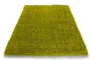 Vaip Shaggy Green, 120x170 cm цена и информация | Ковры | kaup24.ee