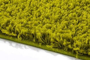 Vaip Shaggy Green, 120x170 cm цена и информация | Ковры | kaup24.ee