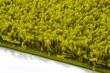 Vaip Shaggy Green, 160x220 cm hind ja info | Vaibad | kaup24.ee