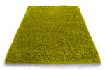 Vaip Shaggy Green, 200x290 cm