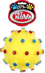 Pet Nova игрушка-пищащий колючий шарик, 12см цена и информация | Игрушки для собак | kaup24.ee
