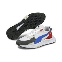 Meeste vabaajajalatsid Puma Wild Rider Rollin Ebony-Puma White - 38151704, valge цена и информация | Кроссовки для мужчин | kaup24.ee