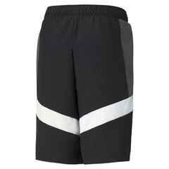 Poiste lühikesed vabaajapüksid Puma Active Sports Woven Shorts B Puma - 58587601, must hind ja info | Poiste lühikesed püksid | kaup24.ee