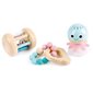 Puidust mänguasjakomplekt Hape hind ja info | Imikute mänguasjad | kaup24.ee