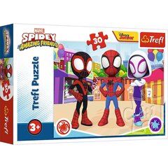 Pusle Trefl Ämblikmees Spidey, 30 tk цена и информация | Пазлы | kaup24.ee