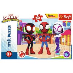 Головоломка Trefl Человек-паук Spidey, 30 дет. цена и информация | Пазлы | kaup24.ee