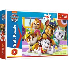 Puslede komplekt Trefl Käpapatrull (Paw Patrol), 30 tk hind ja info | Trefl Lapsed ja imikud | kaup24.ee