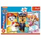 Pusle Trefl Käpapatrull (Paw Patrol), 54 tk hind ja info | Pusled | kaup24.ee