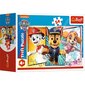 Pusle Trefl Käpapatrull (Paw Patrol), 54 tk цена и информация | Pusled | kaup24.ee