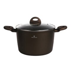 KAANEGA VALDINOX AURUM POT 20CM 3,2L hind ja info | Potid ja kiirkeedupotid | kaup24.ee