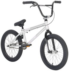 Academy Inspire 18" 2021 BMX Freestyle jalgratas, hõbedane / must цена и информация | Велосипеды | kaup24.ee